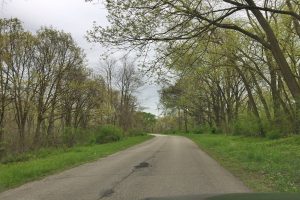 the road less traveled